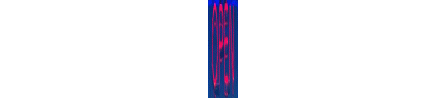 Open24.gif