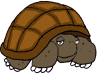 TurtleEagle.gif