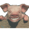 piggy.gif