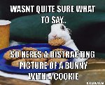 Thumb for distraction-meme-generator-wasnt-quite-sure-what-to-say-so-heres-a-distracting-picture-of-a-bunny-with-a-cookie-0de61b.jpg (51 
KB)