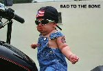 Thumb for bad2thebone.jpg (27 
KB)