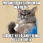 Thumb for bored.jpg (119 
KB)