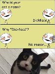 Thumb for dickface.jpg (29 
KB)