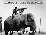 Thumb for elephant.jpg (28 
KB)