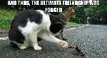 Thumb for friends.jpg (54 
KB)