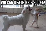 Thumb for funny_animal_memes_929aaeec9e581b3c883d8f3ffe971019c28fb777.jpg (33 
KB)