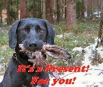 Thumb for present2.jpg (156 
KB)