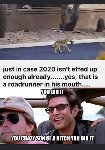 Thumb for roadrunner.jpg (77 
KB)