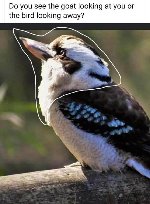 Thumb for 116545382_10220052186526943_6897855245585363835_n.jpg (60 
KB)