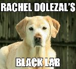 Thumb for blacklab.jpg (71 
KB)