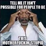 Thumb for fuckingstupid.jpg (34 
KB)