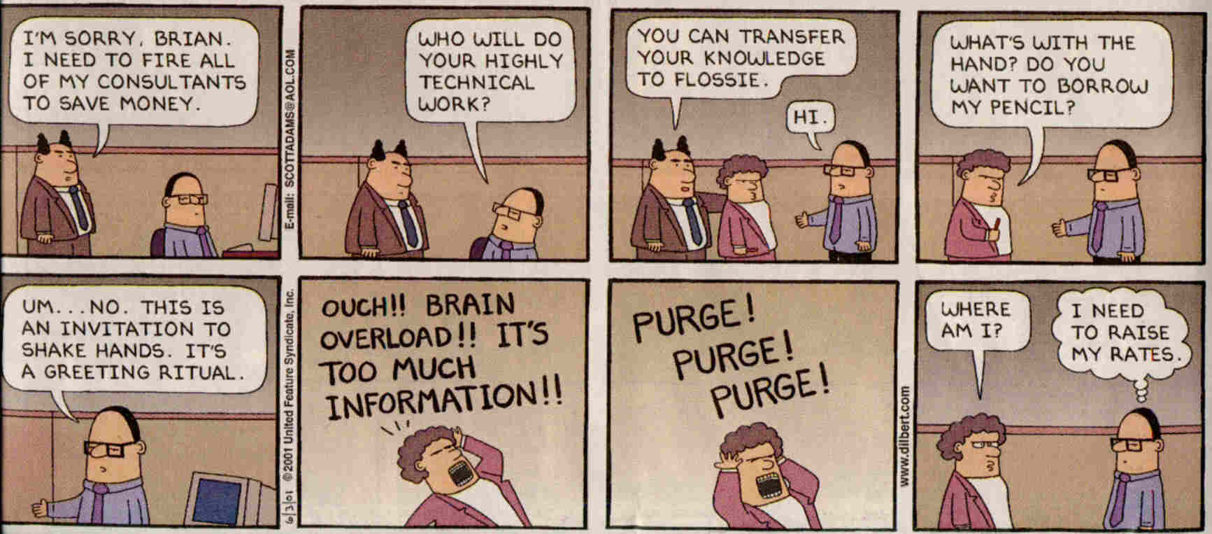 consultant.jpg