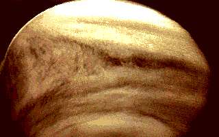 VENUS.GIF