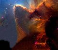 Thumb
for TrifidNebula.jpg (20
KB)