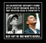 Thumb for 12289538_449066728618834_9089534369256598581_n.jpg (60 
KB)