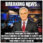 Thumb for 13256054_10209247678899689_1236248210649188684_n.jpg (49 
KB)