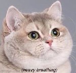 Thumb for 63d3b4f13100bf66714f4fce6afa1d48.jpg (9 
KB)