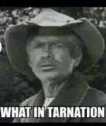 Thumb for tarnation.jpg (14 
KB)