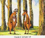 Thumb for 18765938_1550187721660930_4388488090857524508_n.jpg (177 
KB)