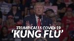Thumb for kungFlu.jpg (72 
KB)