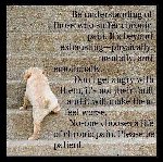 Thumb for pain.jpg (55 
KB)