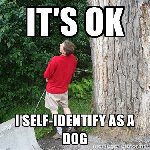 Thumb for dog.jpg (152 
KB)