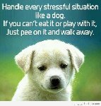 Thumb for 16298903_10202557782902584_2357749554680830680_n.jpg (64 
KB)