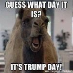 Selected Meme Thumb for trumpday.jpg (13
KB)