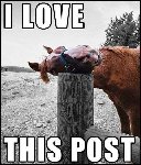 Thumb for lovepost.jpg (50 
KB)