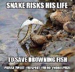 Thumb for 13414657_1296000260412006_903518781_n.jpg (27 
KB)