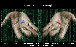 Thumb for Matrix_Pill_by_arielgr92.jpg (183 
KB)