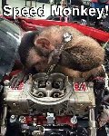 Thumb for SpeedMonkey.jpg (83 
KB)