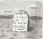 Thumb for kale.jpg (177 
KB)