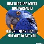 Thumb for polly.jpg (37 
KB)