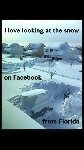 Thumb for snowdayflorida.jpg (55 
KB)