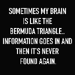 Thumb for 13239919_1003367359711940_1934704233774451009_n.jpg (29 
KB)