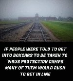 Thumb for 93486371_3344915552189635_5528844059348566016_n.jpg (46 
KB)