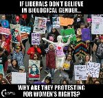 Thumb for 17309459_10210630239489670_5744910003735029295_n.jpg (61 
KB)