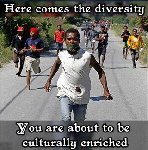 Thumb for enriched.jpg (26 
KB)