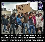 Thumb for imigrant.jpg (110 
KB)