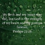 Thumb for 14079764_10154152547927713_2549829085290889798_n.jpg (49 
KB)