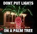 Thumb for 15442204_1389305984437052_8325460061176338904_n.jpg (40 
KB)