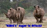 Thumb for rinos.jpg (83 
KB)