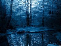 Thumb 
for ATT16.jpg (51 KB)