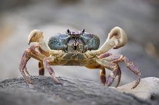 Thumb 
for ATT19.jpg (29 KB)