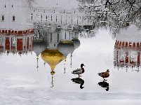 Thumb 
for ATT2.jpg (44 KB)