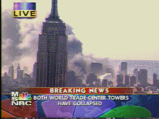 WTC TOWERS FALL Picture